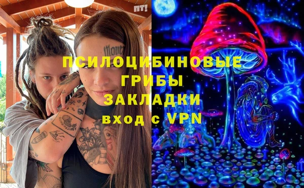 синтетический гашиш Новодвинск
