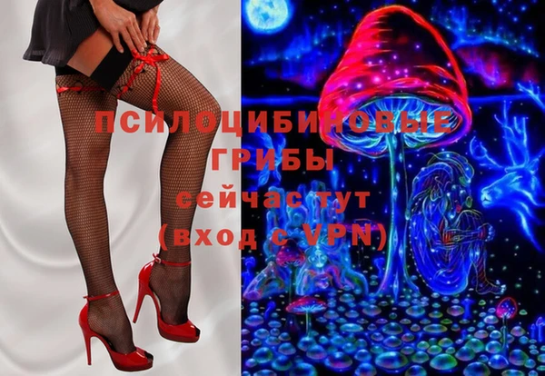 синтетический гашиш Новодвинск