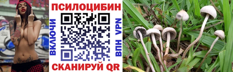Псилоцибиновые грибы мицелий  Конаково 