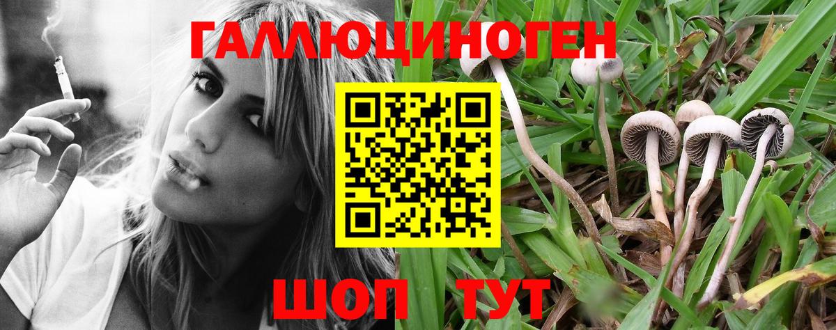 где купить наркоту  Вход с VPN  Конаково  Галлюциногенные грибы ЛСД 