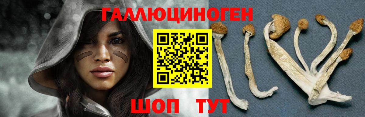 Псилоцибиновые грибы Magic Shrooms Конаково